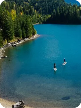 Dark wood console table with tall blue vases (3)