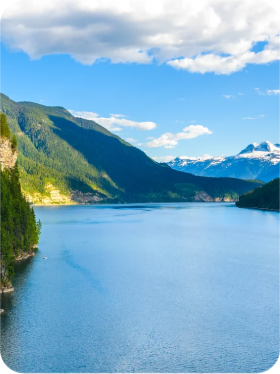 Dark wood console table with tall blue vases