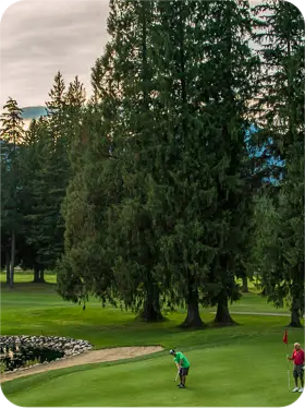 golf revelstoke